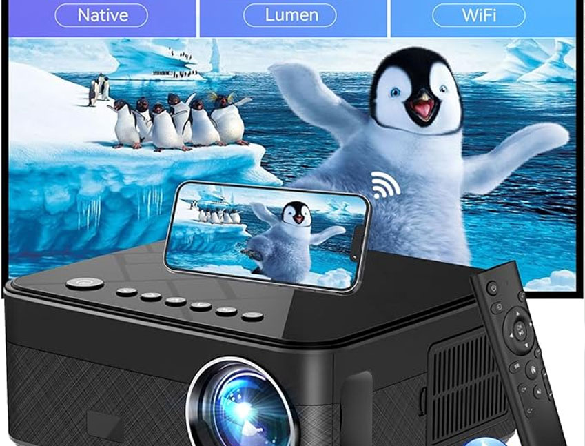 Large Projector Screen Installation